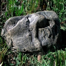 Камень малый с пауком и бабочкой,  D 36см